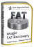 Magic FAT Recovery 3.1 (2020)