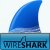 Wireshark 3.4.3 (2021)
