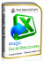 Magic Excel Recovery 2.8 (2020)