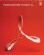 Adobe Acrobat Reader DC 2021.001.20145