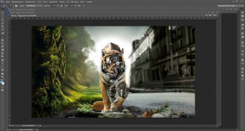 Adobe Photoshop CS6 v13.1.2   