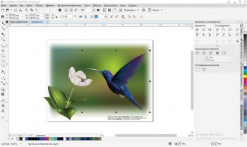 CorelDRAW Graphics Suite 2018 RePack by KpoJIuK 