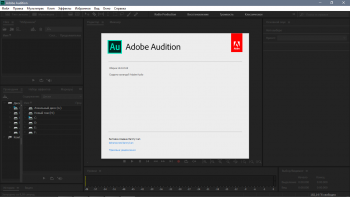 Adobe Audition 2020 13.0.13.46 [x64]