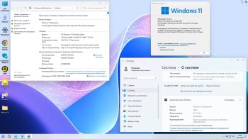 Windows 11 Pro-Home Optim Lite Rus OVGorskiy 2025