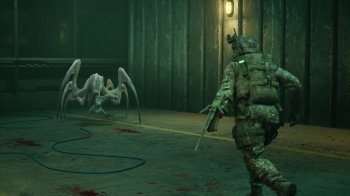ENTITY: THE BLACK DAY